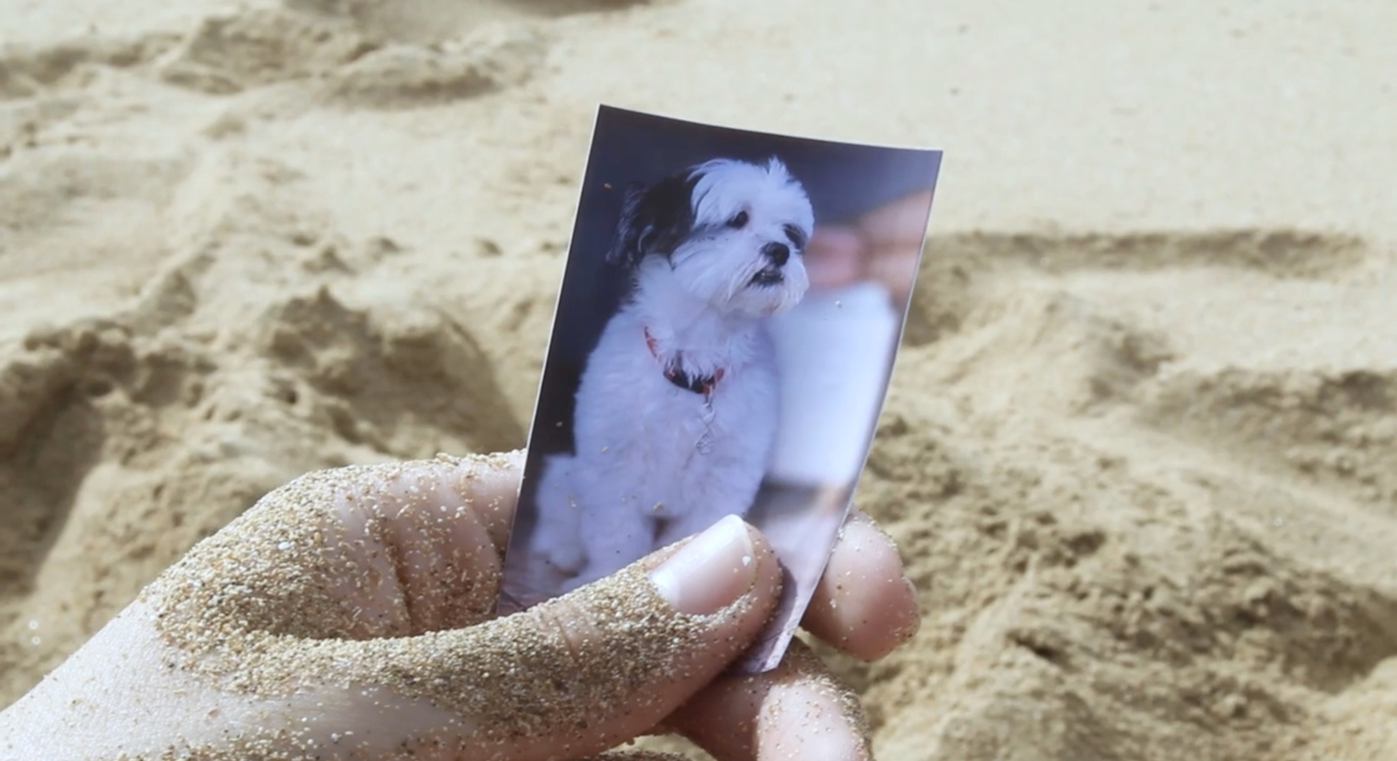 RECUERDOS DE CRISTAL